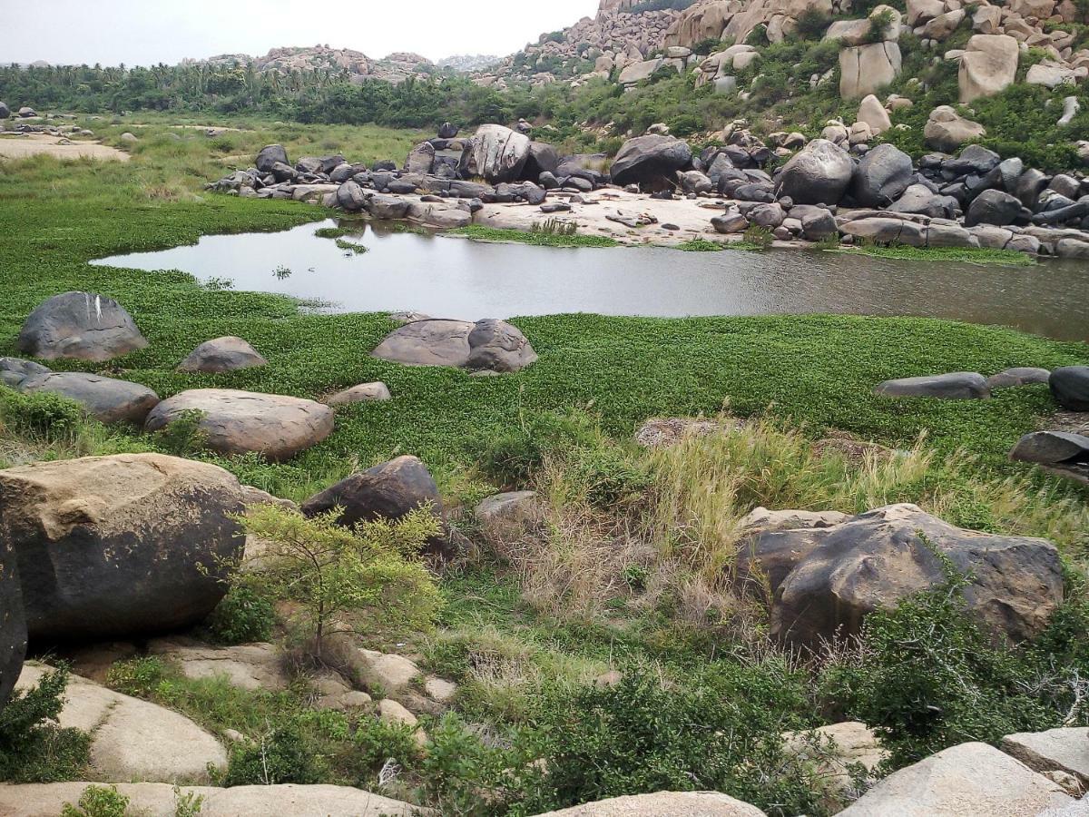 Riverside Homestay Hampi Kültér fotó
